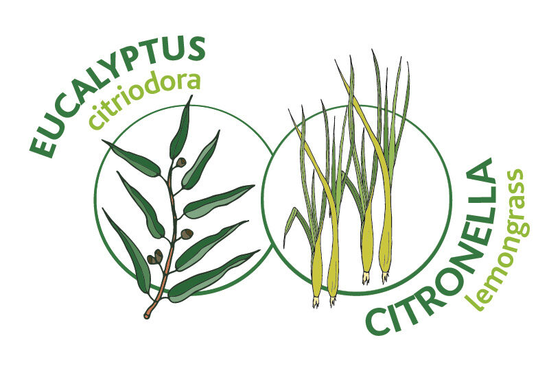 landing-detail-image